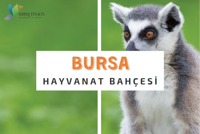 bursa hayvanat bahcesi giris ucretleri