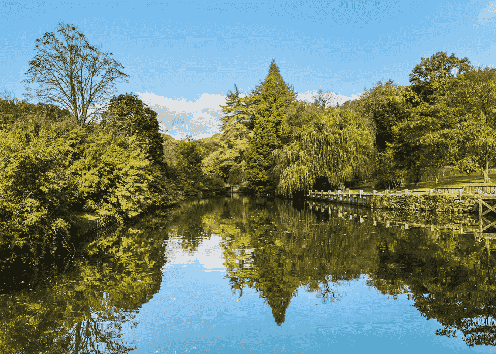 Atatürk Arboretumu Göl